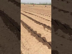 Ταινία στάθμευσης