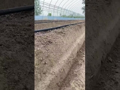 Ταινία στάθμευσης