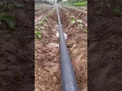 Ταινία ψεκασμού